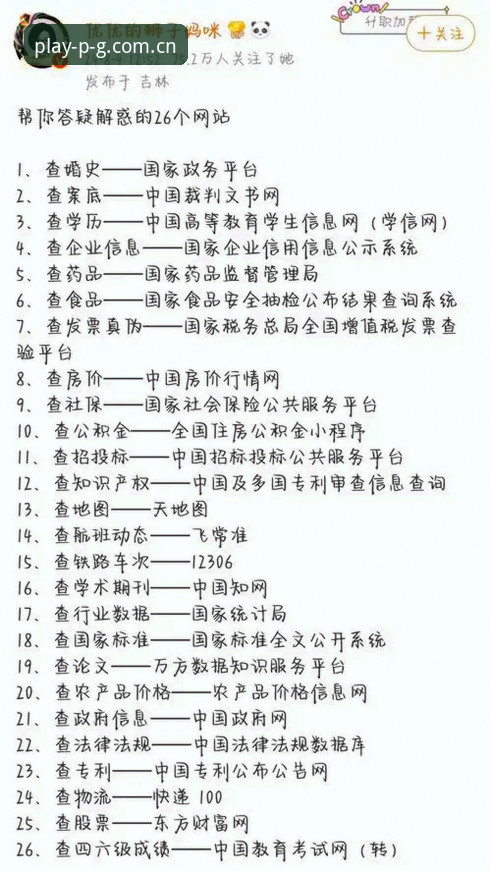 实战经验分享：资深用户带你玩转“走在这个名字前面中国首页”数据查询